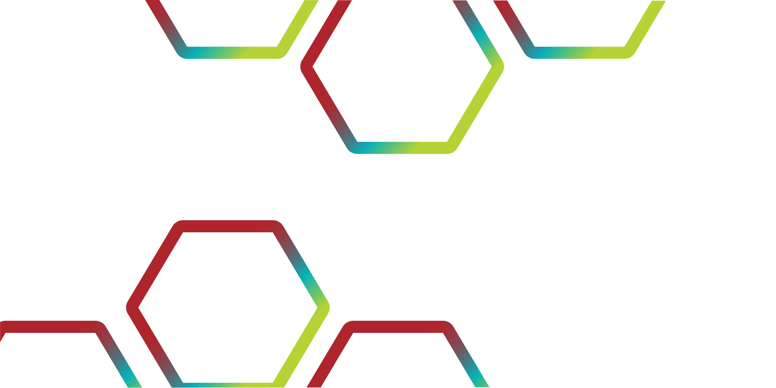 CAUDIT Unauthorized Banner